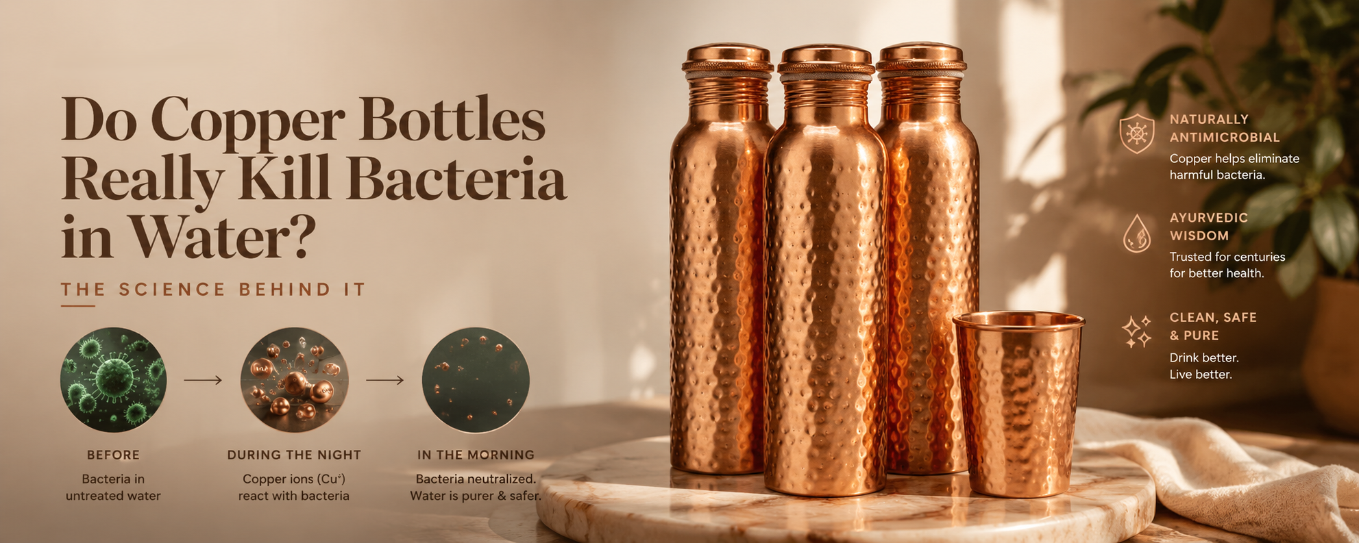 Copper Bottles Really Kill Bacteria in Water