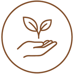 Conscious Living